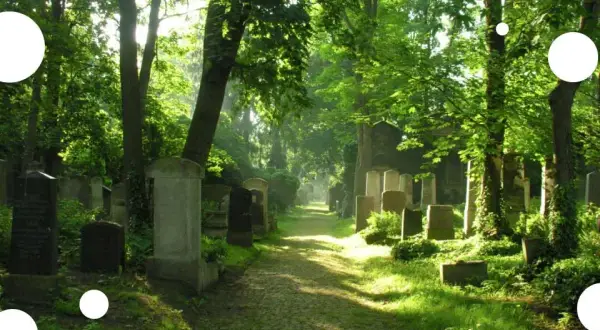 Muzeum Sztuki Cmentarnej Wrocław - Godziny otwarcia i ceny biletów